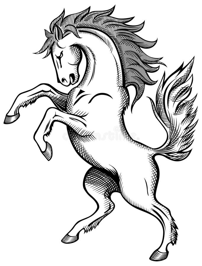 Desenho do cavalo ilustração stock Desenho do cavalo ilustração stock