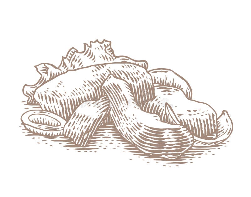 Desenho do fígado frito ilustração do vetor. Ilustração de gosto - 237928280