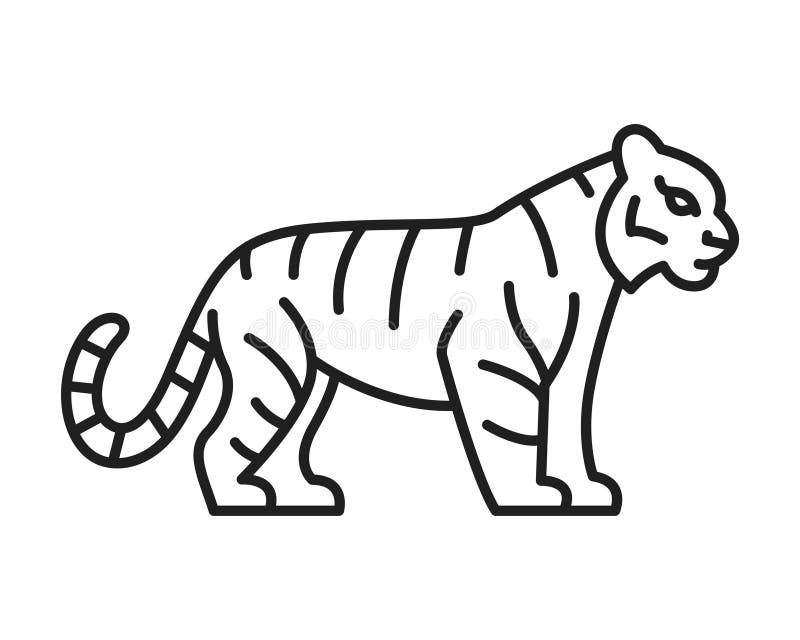 Como Desenhar Uma Ilustração Vetorial Tigre Desenhe Tigre Fácil Passo  imagem vetorial de NutkinsJ© 444607566