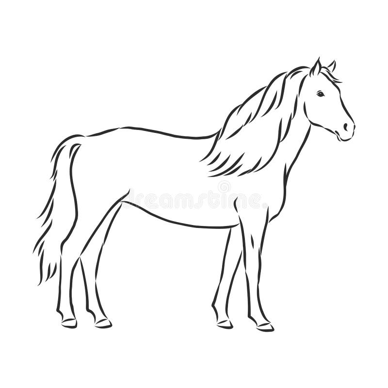 Cabeça De Cavalo, Animal De Fazenda, Preto E Branco Ilustração Vetorial Em  Estilo Gráfico Royalty Free SVG, Cliparts, Vetores, e Ilustrações Stock.  Image 69936700