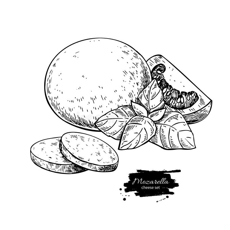 Desenho do vetor do mozzarella Mão tirada em volta da parte com vagabundos ilustração do vetor Desenho do vetor do mozzarella Mão tirada em volta da parte com vagabundos ilustração do vetor