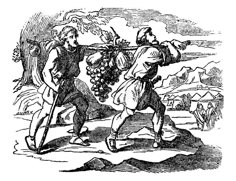 Desenho do vintage da história bíblica dos escuteiros dos israelitas que retornam com frutos Dois homens Carry Large Grape Bunch