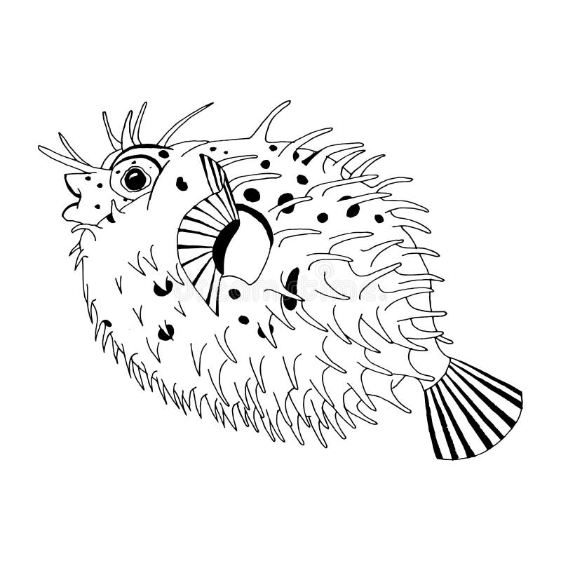 Desenho original de peixes de porco- da espinha ilustração royalty free Desenho original de peixes de porco- da espinha ilustração royalty free