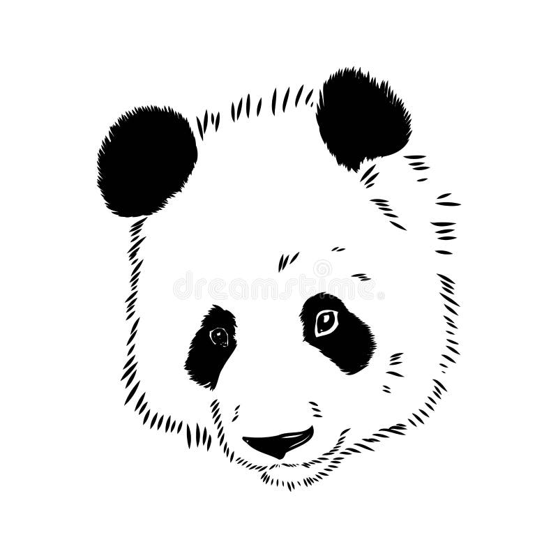 Desenho Realista Vetorial Da Figura Panda Em Ilustração Desenhada à Mão  Inteira Ilustração do Vetor - Ilustração de silhueta, urso: 251025852