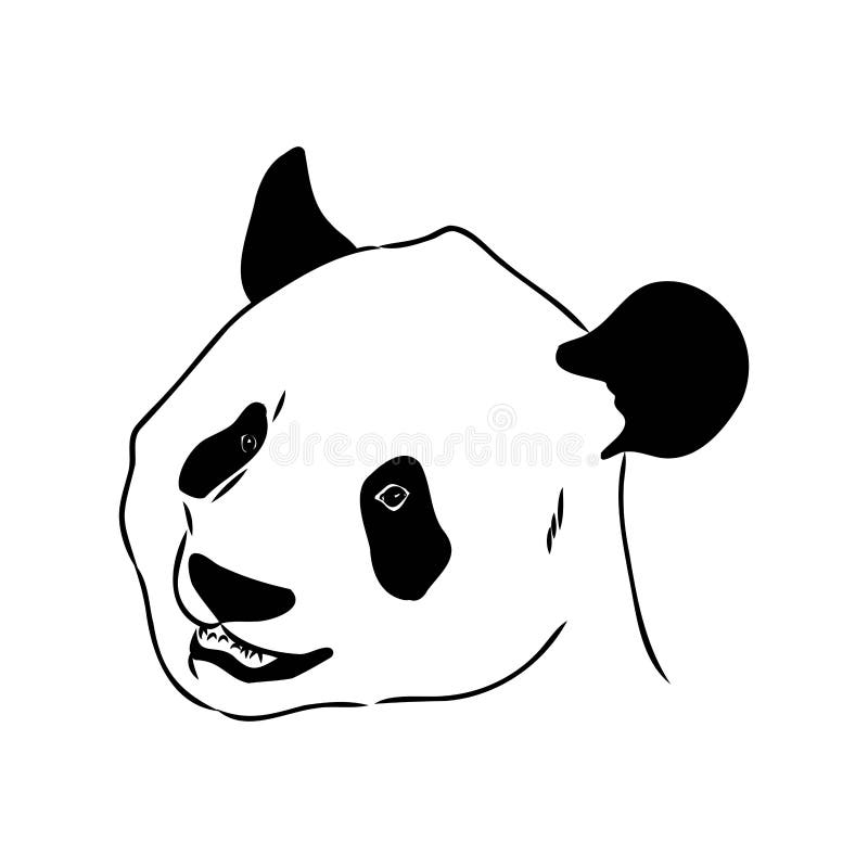 Desenho Realista Vetorial Da Figura Panda Em Ilustração Desenhada à Mão  Inteira Ilustração do Vetor - Ilustração de pele, objeto: 251025366