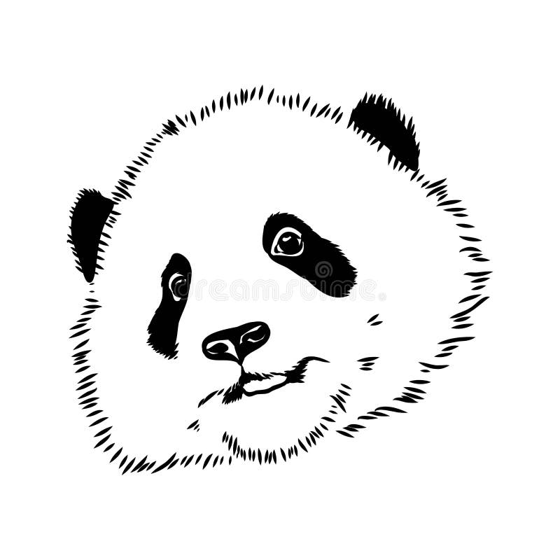 Desenho Realista Vetorial Da Figura Panda Em Ilustração Desenhada à Mão  Inteira Ilustração do Vetor - Ilustração de nave, doce: 251025914