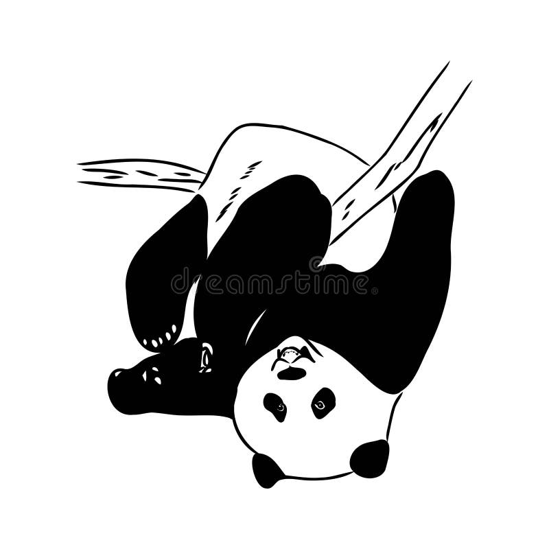 Desenho Realista Vetorial Da Figura Panda Em Ilustração Desenhada à Mão  Inteira Ilustração do Vetor - Ilustração de pele, objeto: 251025366