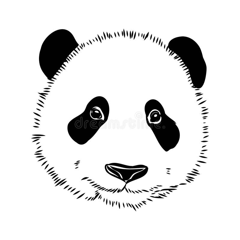 Retrato De Uma Ilustração Realista Do Desenho Vetorial Do Panda Divertida  Ilustração do Vetor - Ilustração de pouco, nave: 178022603