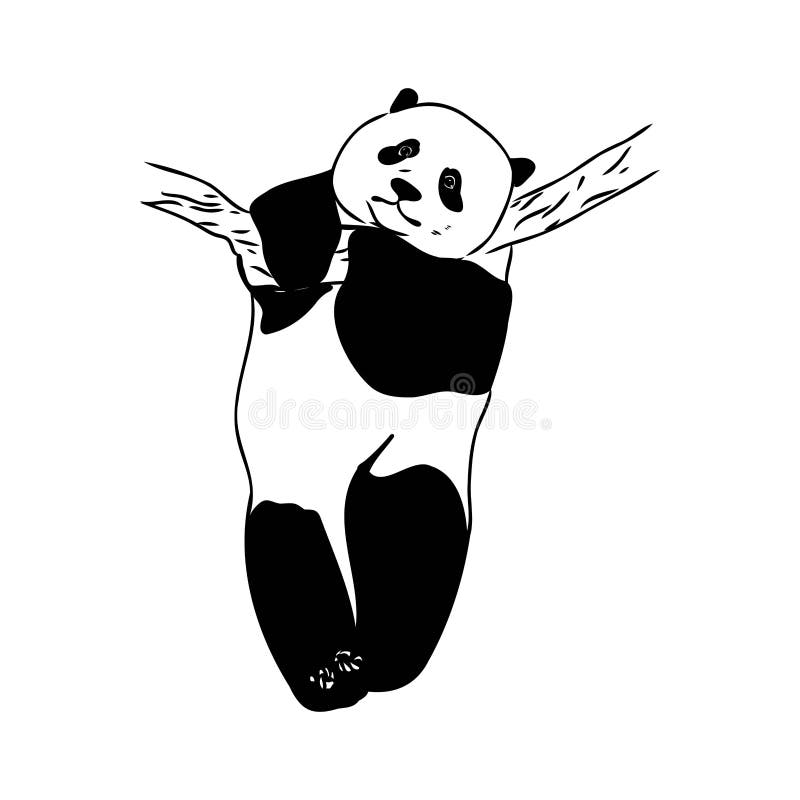 Desenho Realista Vetorial Da Figura Panda Em Ilustração Desenhada à Mão  Inteira Ilustração do Vetor - Ilustração de nave, doce: 251025914