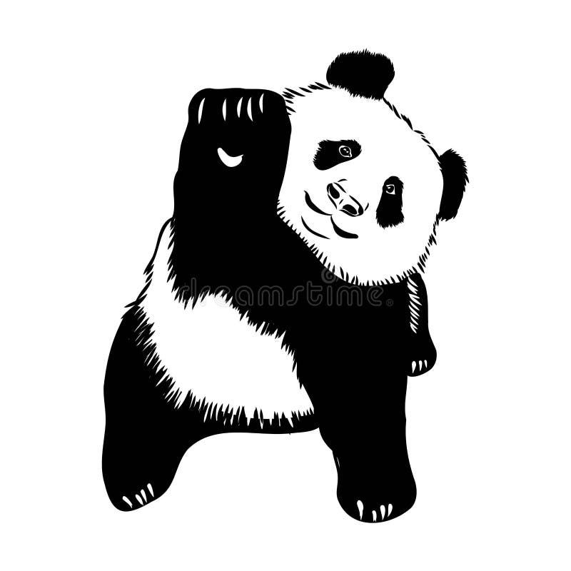 Desenho Realista Vetorial Da Figura Panda Em Ilustração Desenhada à Mão  Inteira Ilustração do Vetor - Ilustração de nave, doce: 251025914