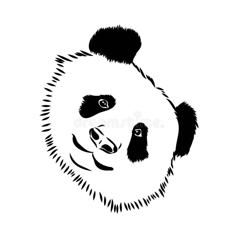 Desenho Realista Vetorial Da Figura Panda Em Ilustração Desenhada à Mão  Inteira Ilustração do Vetor - Ilustração de estilo, retrato: 251025949