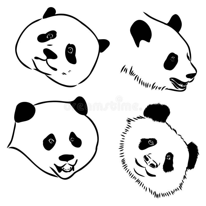 Desenho Realista Vetorial Da Figura Panda Em Ilustração Desenhada à Mão  Inteira Ilustração do Vetor - Ilustração de silhueta, pele: 258480486