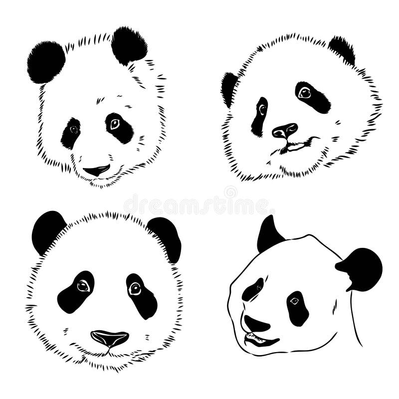 Desenho Realista Vetorial Da Figura Panda Em Ilustração Desenhada à Mão  Inteira Ilustração do Vetor - Ilustração de pele, objeto: 251025366