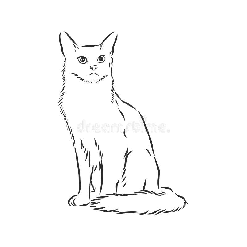 ícone De Gato Sentado Cauda De Perfil Doméstico Vetor PNG , Doméstico,  Perfil, Rabo Imagem PNG e Vetor Para Download Gratuito