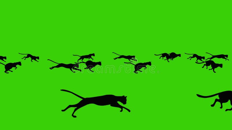 Desenhos animados animados de um grupo grande de correr gatos pretos em um fundo de tela verde