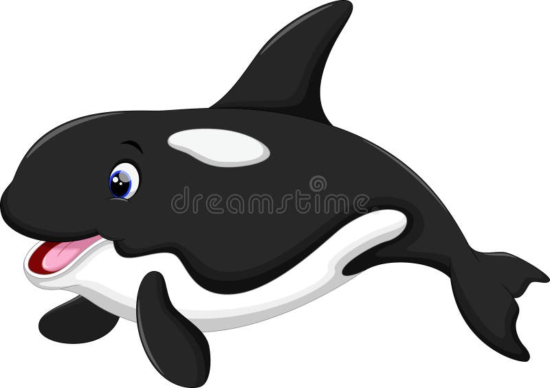 Desenhos animados bonitos da baleia de assassino ilustração stock Desenhos animados bonitos da baleia de assassino ilustração stock