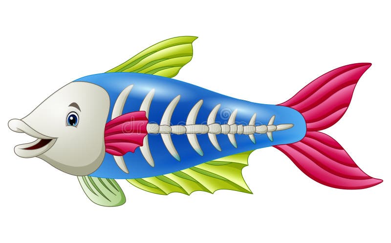 Desenhos animados bonitos dos peixes do raio X ilustração do vetor Desenhos animados bonitos dos peixes do raio X ilustração do vetor