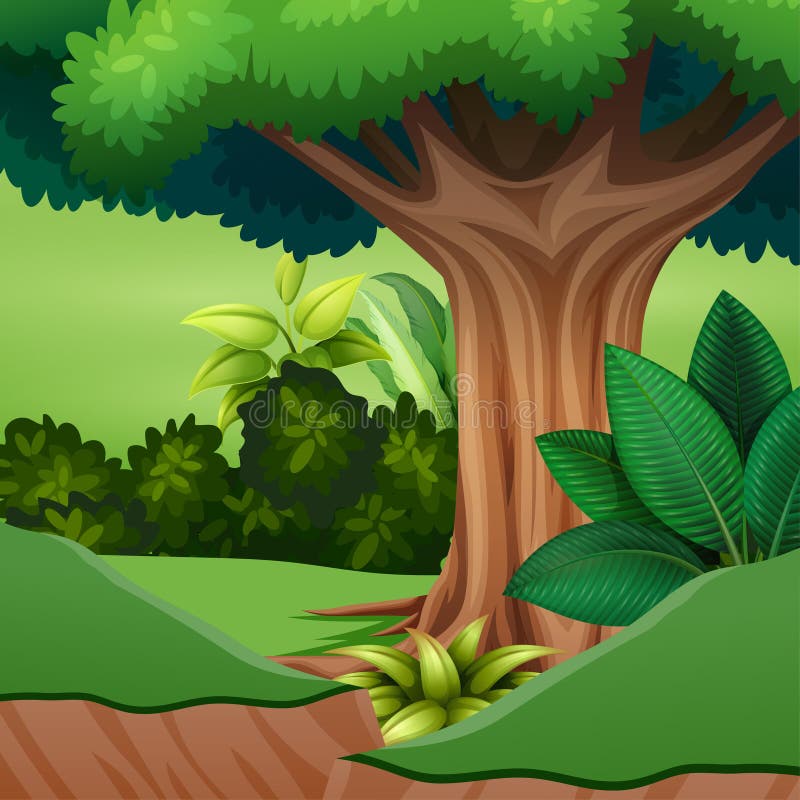 Desenhos animados de uma árvore grande na floresta ilustração do vetor Desenhos animados de uma árvore grande na floresta ilustração do vetor