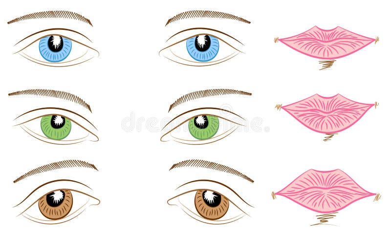 Conjunto Anime Estilo Olhos Cores Diferentes Isolado Branco imagem vetorial  de neizu03.gmail.com© 270457134