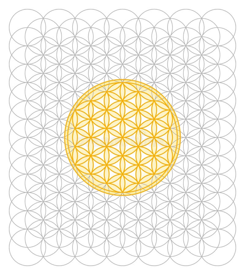 Development of Flower of Life from a sea of circles. Sacred geometry forming a flower-like pattern. A spiritual symbol since ancient times. Development of Flower of Life from a sea of circles. Sacred geometry forming a flower-like pattern. A spiritual symbol since ancient times.