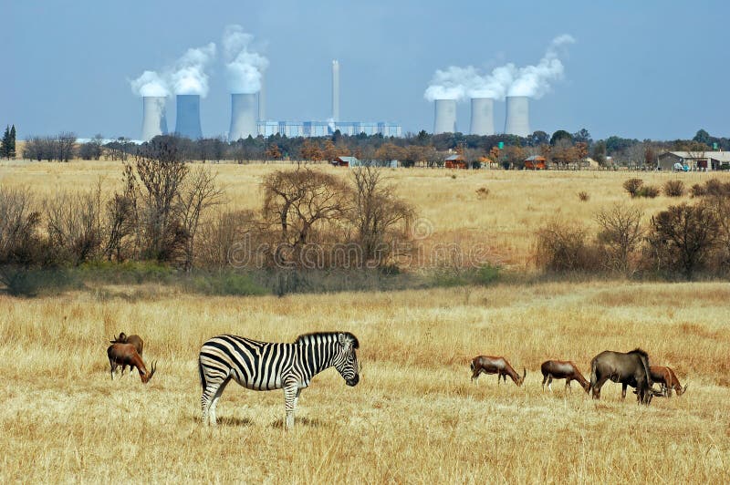 A coal power station in Africa with wildlife in the area. A coal power station in Africa with wildlife in the area.