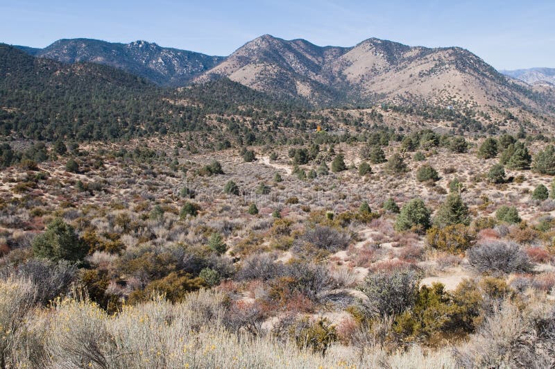Pinyon Juniper and Sage Biome in East Central Nevada. Stock Photo
