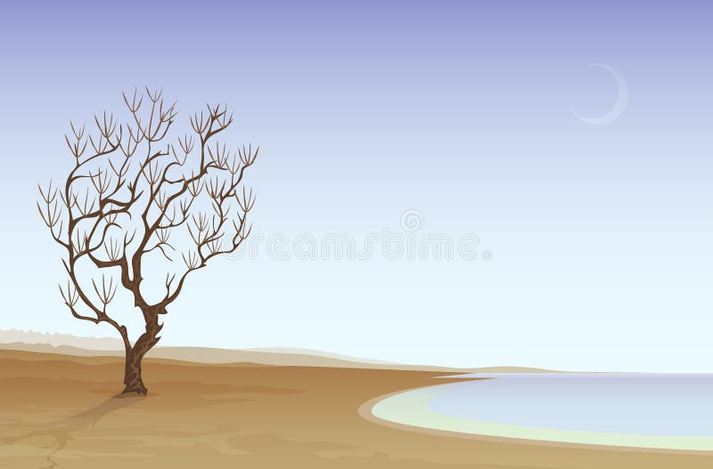 Desert beach vector illustration