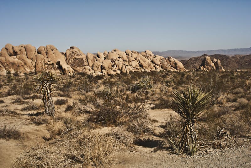 Mojave Desert Highway stock image. Image of endliess, mojave - 7890541