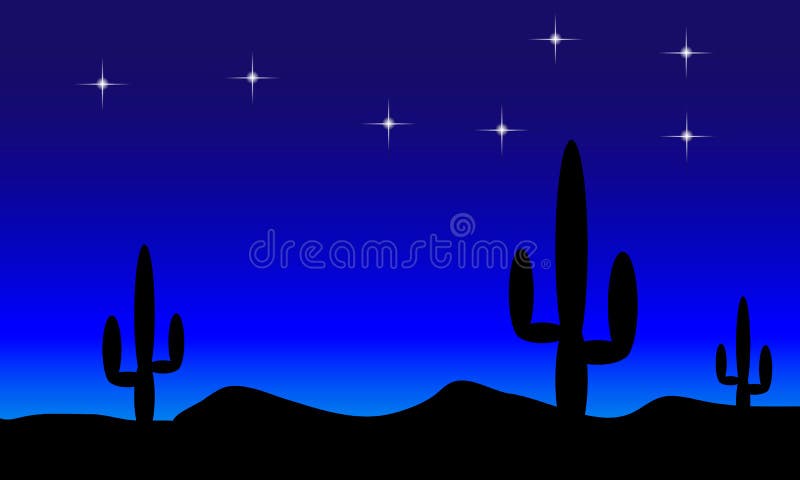 Desert with cactus plants. Night