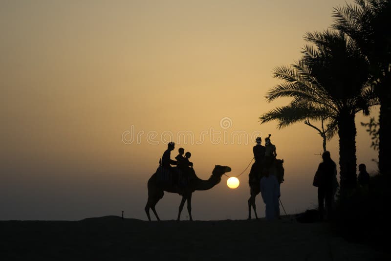 Desert camel and rider silhouette