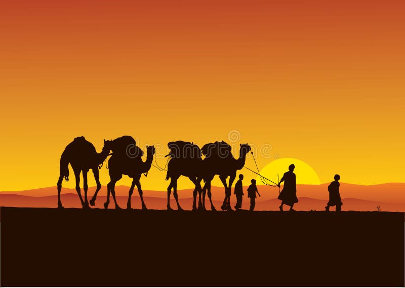 Desert camels caravan vector illustration Desert camels caravan vector illustration