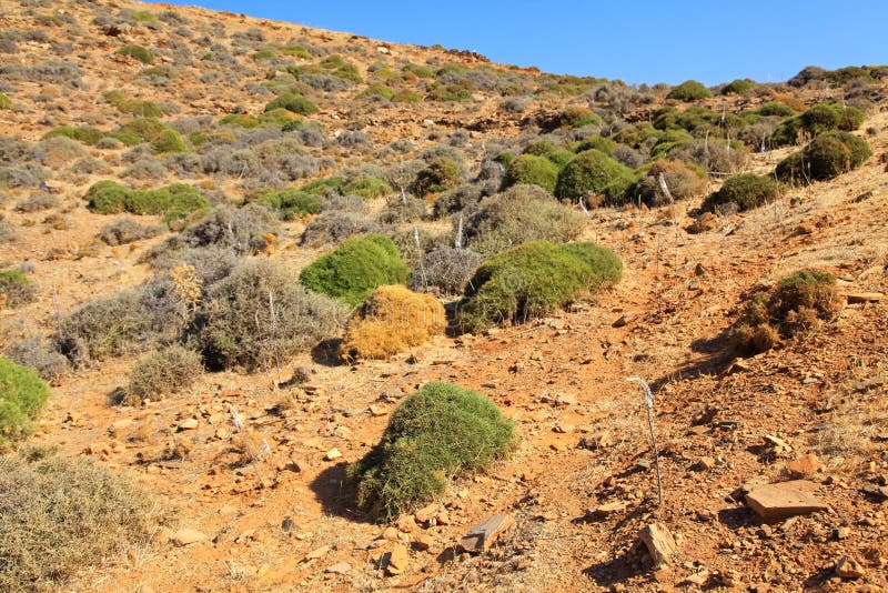 Desert at Crete stock image. Image of wildness, panormo 34030549