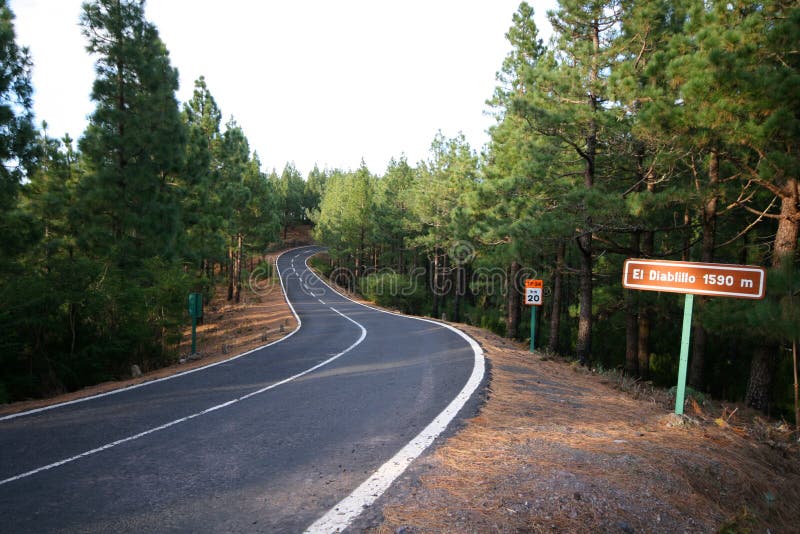 Desert curvy road