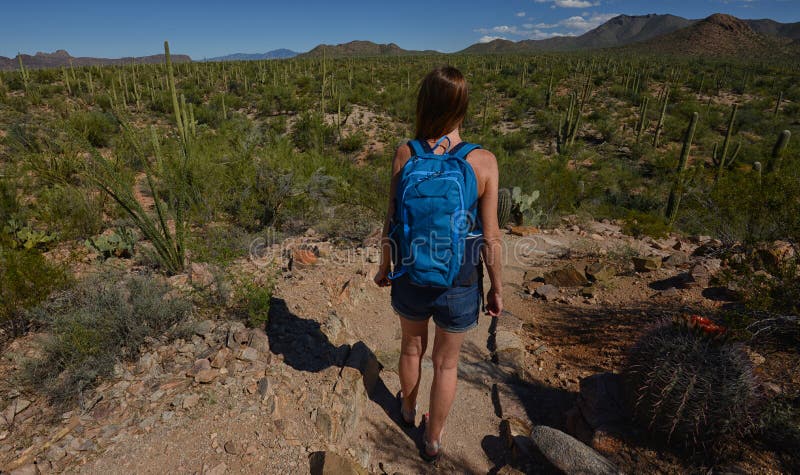 Desert hike with cacti and mountains