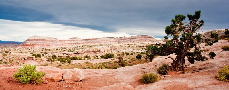 Desert Landscape royalty free stock photo Desert Landscape royalty free stock photo