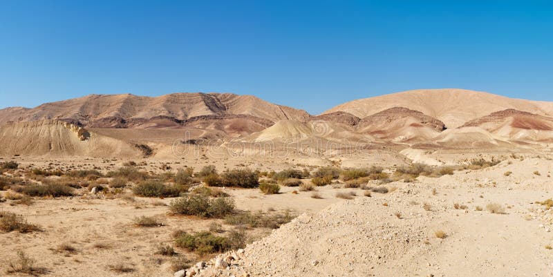 Desert landscape