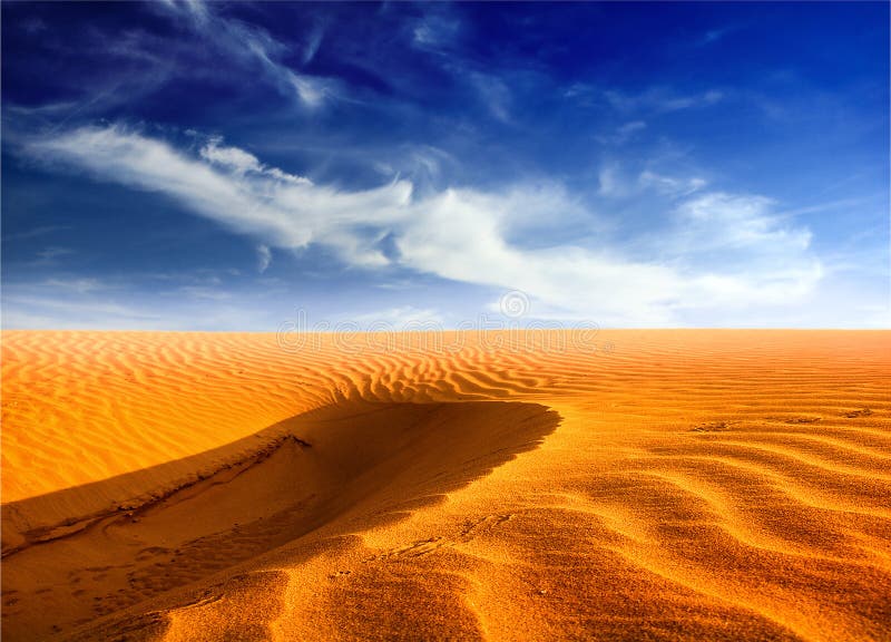 Desert landscape