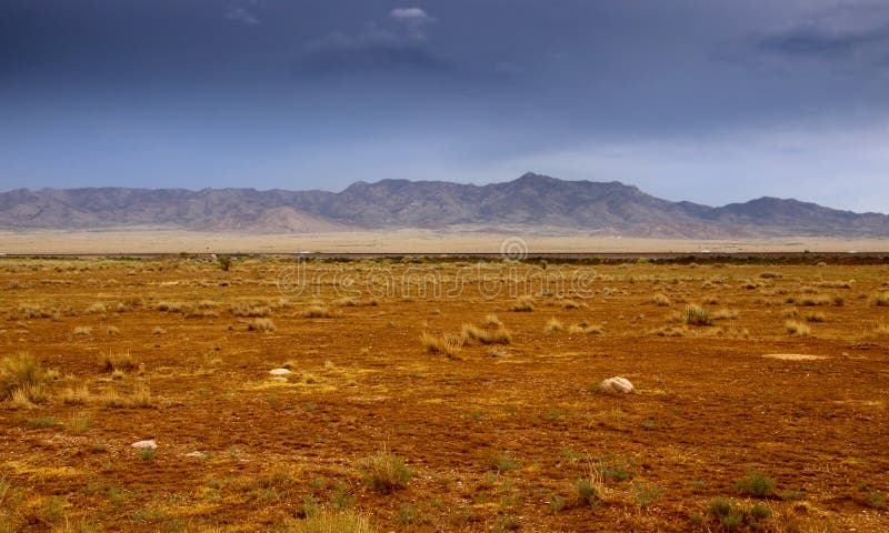 Desert landscape in Arizona