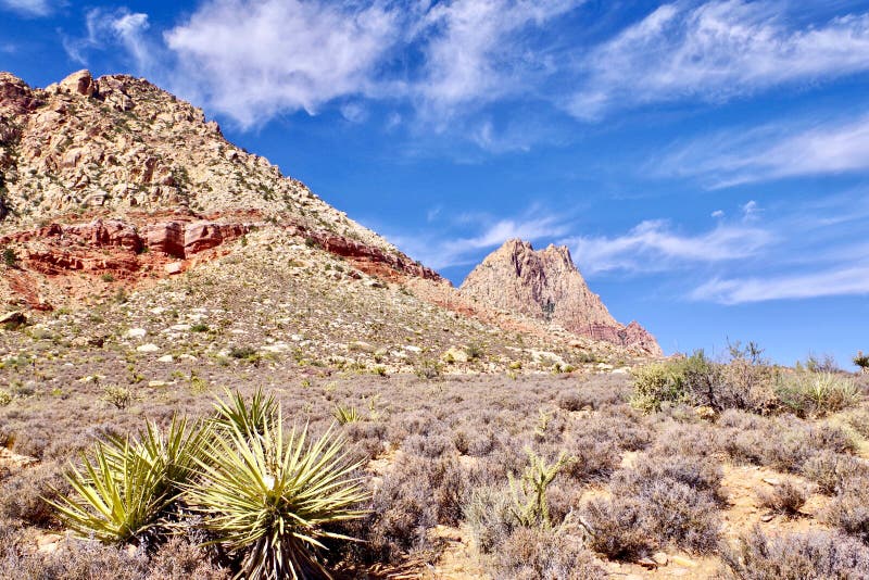 Spring Mountain National Recreation Area, Nevada, USA Stock Photo 