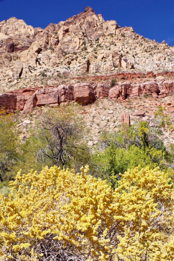 Spring Mountain National Recreation Area, Nevada, USA Stock Photo 