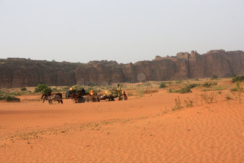 Desert in mali