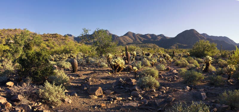 Desert Mountains and Plains of Arizona