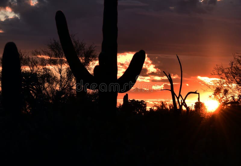 Desert Nightscape in Arizona at Dusk Stock Image Image of desert