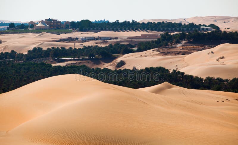 Desert Oasis