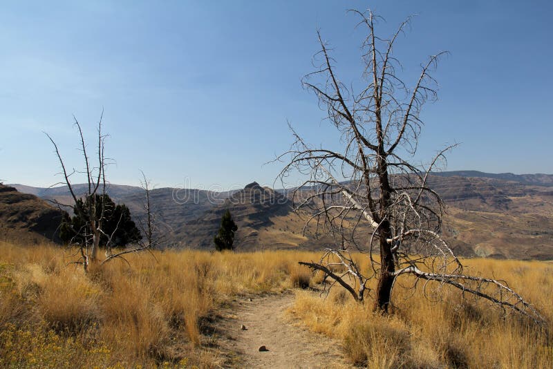 Desert, oregon, USA stock image. Image of beds, america 55732123