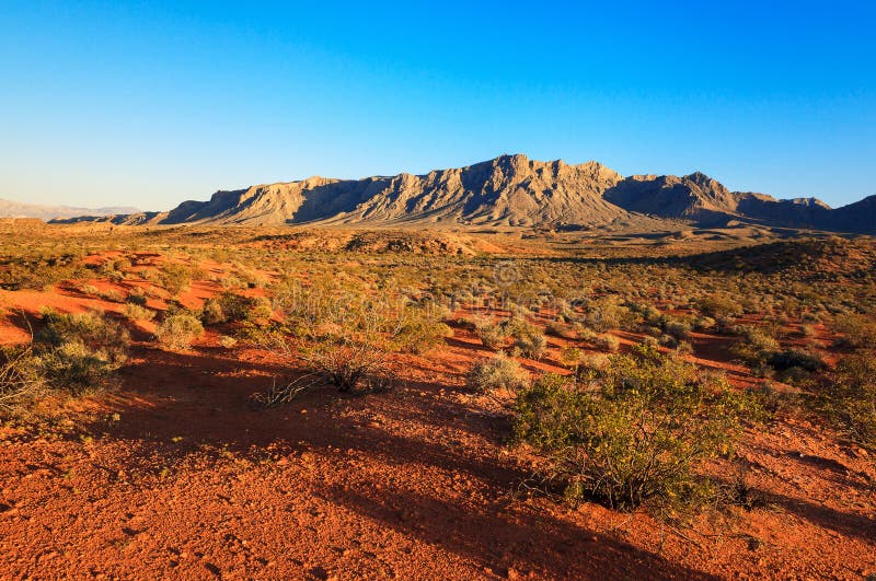 Desert over sunset, Nevada stock image. Image of sunset 70459865