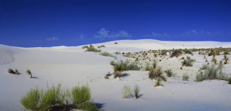 Desierto de blanco arena dunas.