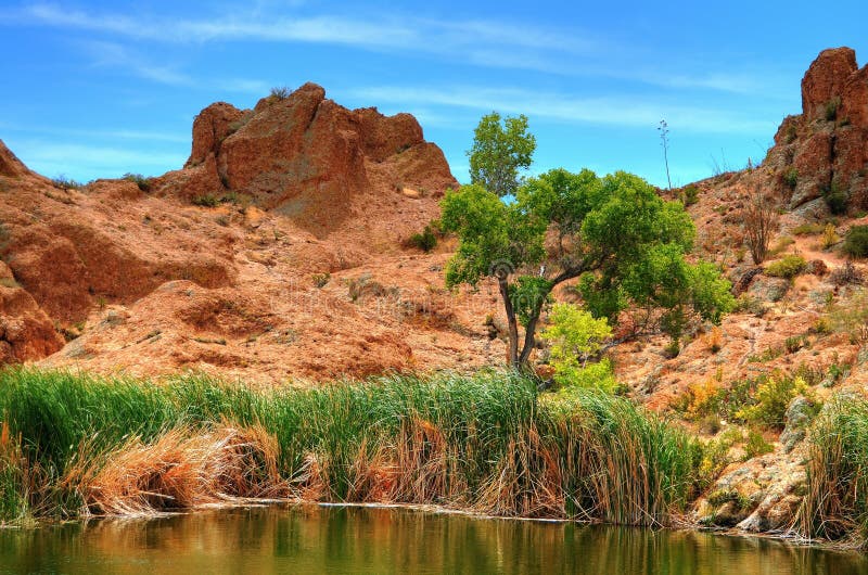 Desert Pond