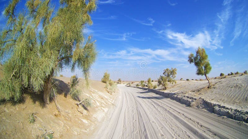 A desert road