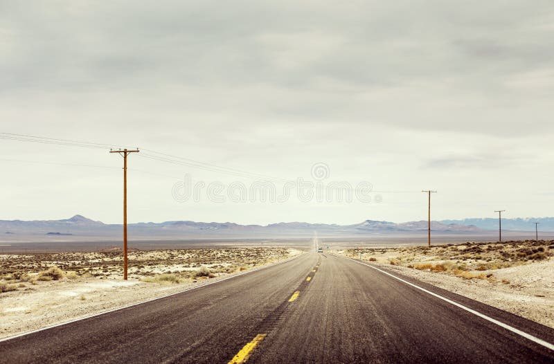 Desert Road With Telephone Poles